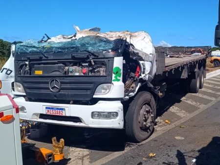 Caminhoneiro morre em capotamento na BR-146