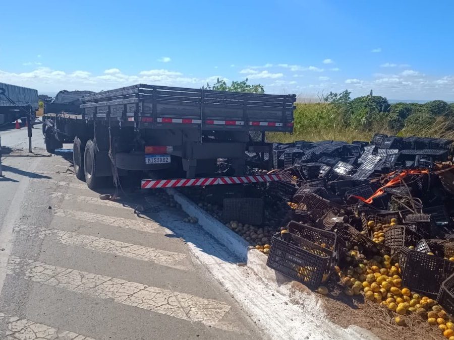 Caminhoneiro morre em capotamento na BR-146