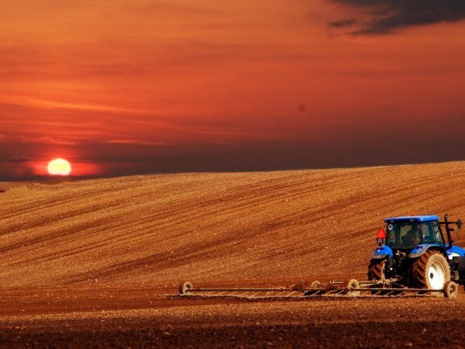 PESQUISA QUAEST–FAEMG: 80% DOS MINEIROS TÊM IMAGEM POSITIVA DO AGRO