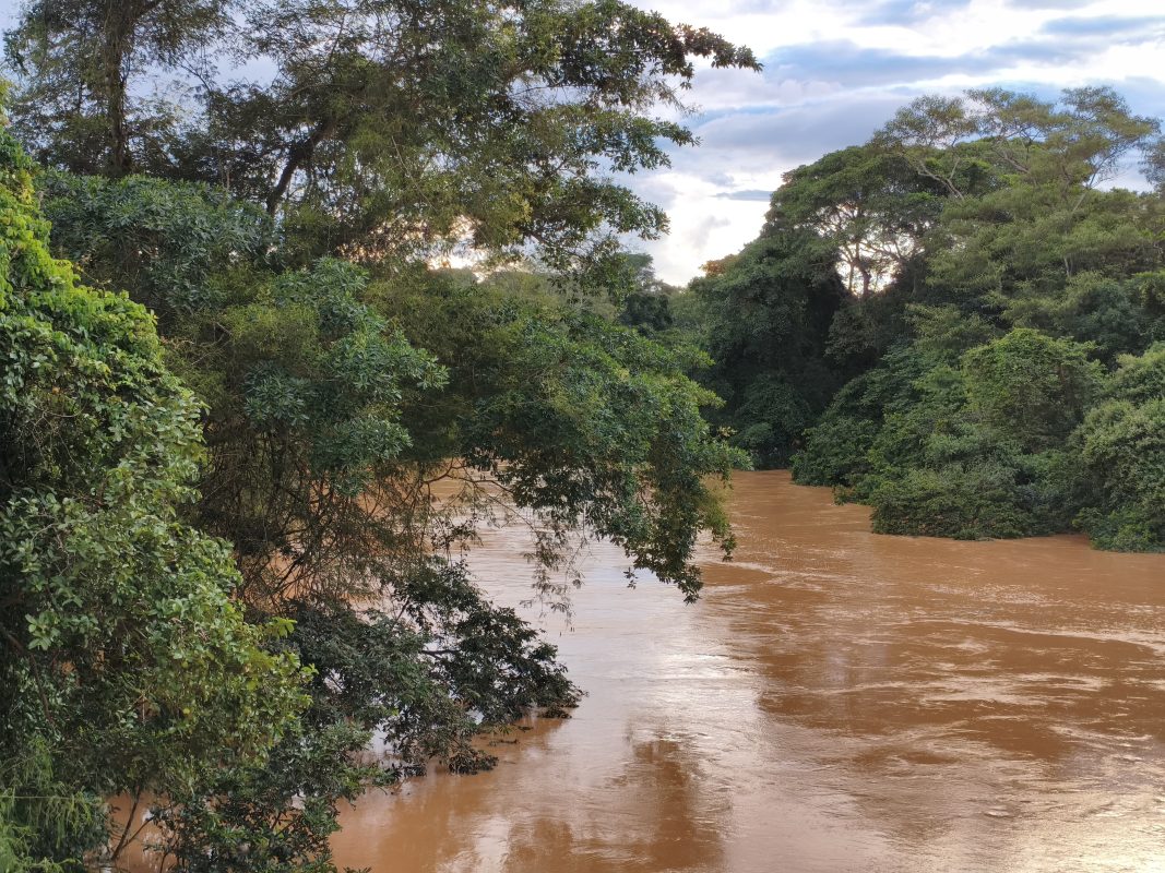Rio Paranaíba está a 7,42 metros acima do normal neste sábado