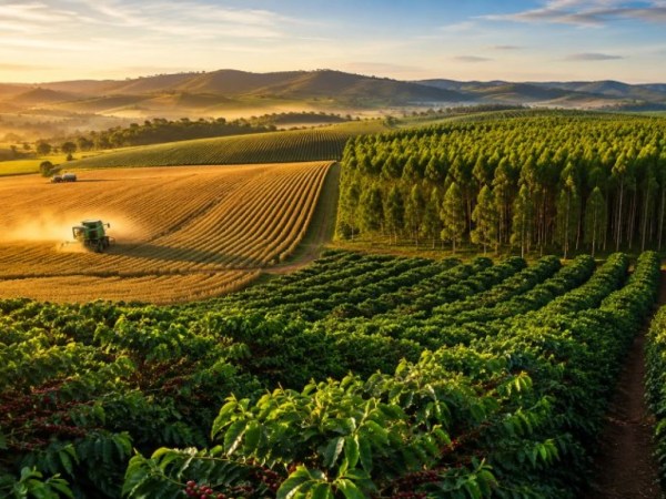 Agro é artilheiro da economia de Minas