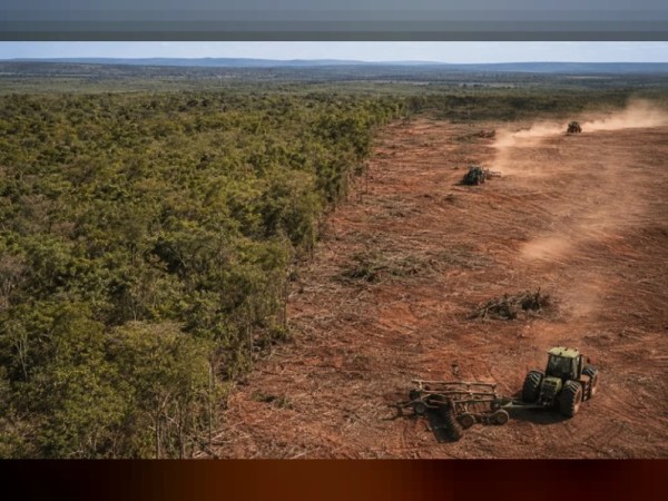 Operação investiga desmatamento do Norte