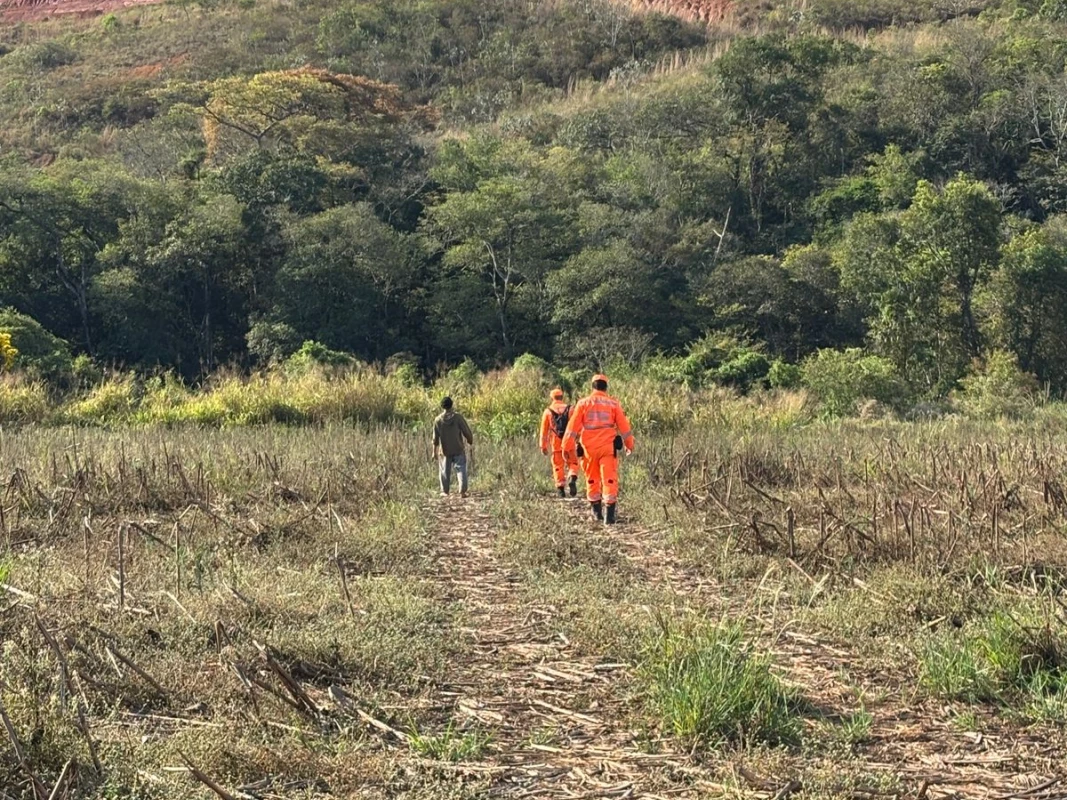 Idoso desaparecido é encontrado com vida em mata