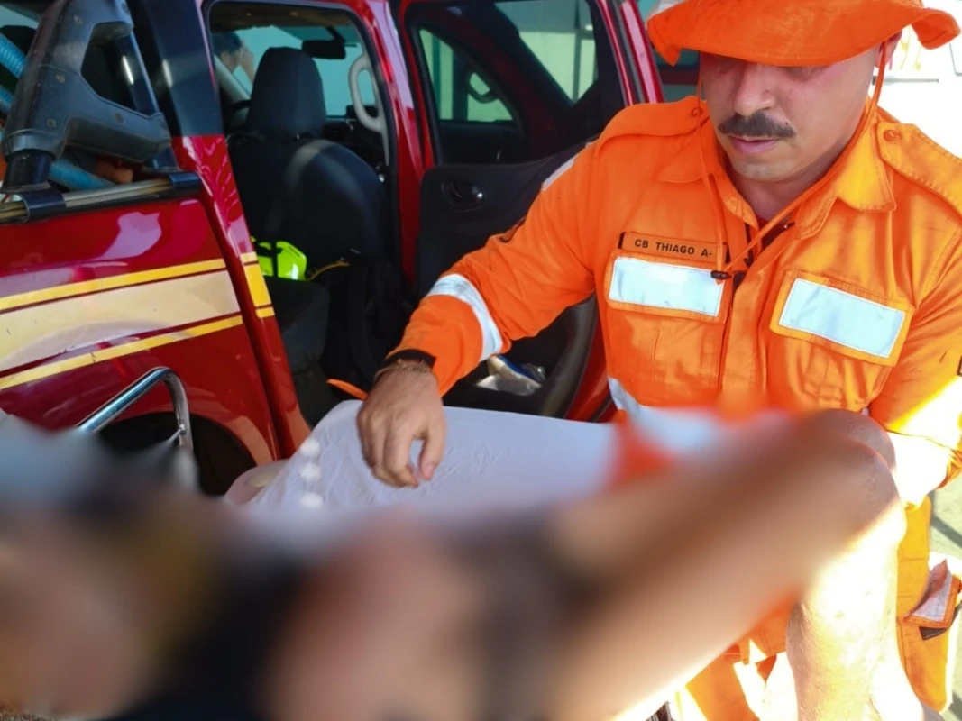 Idoso desaparecido é encontrado com vida em mata