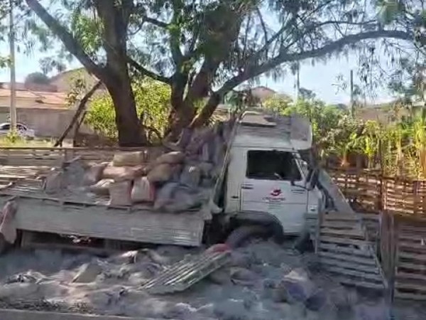 Motorista fica ferido após caminhão bater em árvore