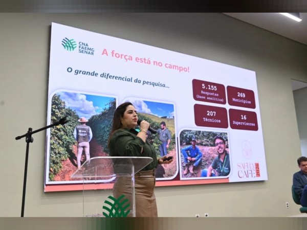Safra de café em Minas Gerais deve alcançar 33,4 milhões de sacas em 2026
