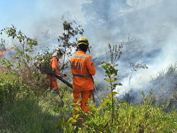 Incêndio mobiliza Bombeiros por várias horas na região do Baú